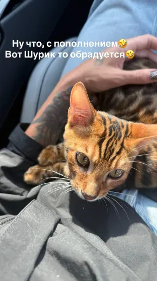 Фото Насти Ивлеевой