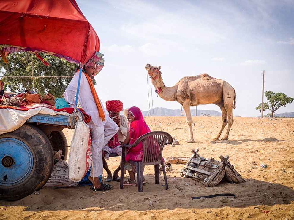 india-road-scene_94549_990x742