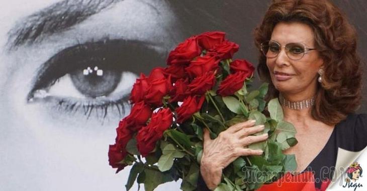 Софи Лорен — 84, но она по-прежнему прекрасна! Вот ее 7 советов для женщин Софи Лорен — 84, но она по-прежнему прекрасна! Вот ее 7 советов для женщин загадочность
