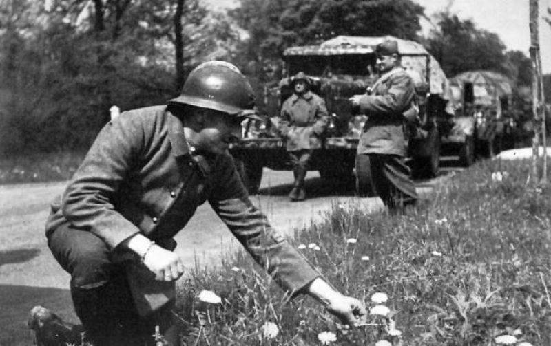 Странные войны плохо кончаются Странные войны плохо кончаются геополитика