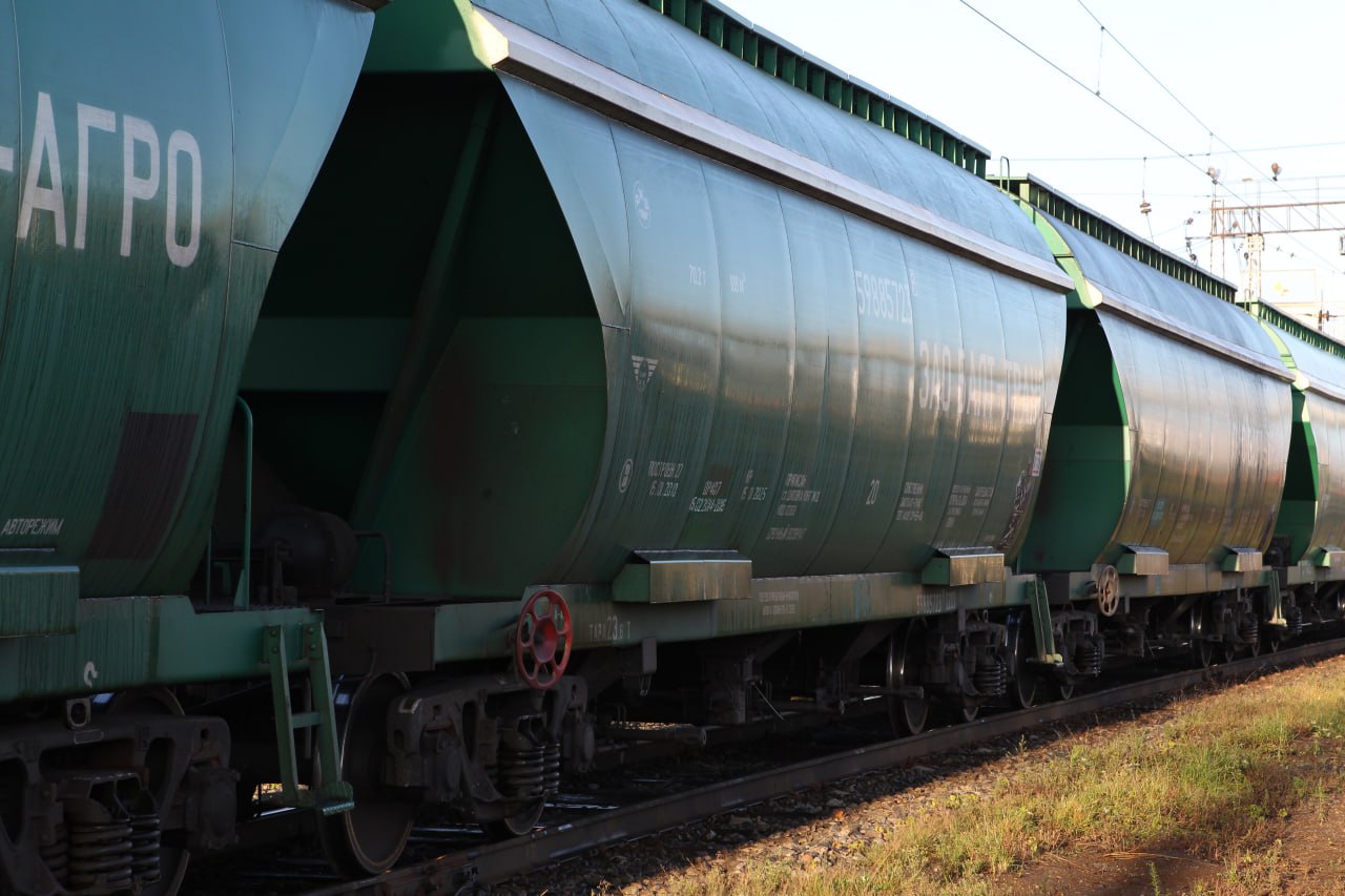 Перевозки зерна на экспорт по железным дорогам растут