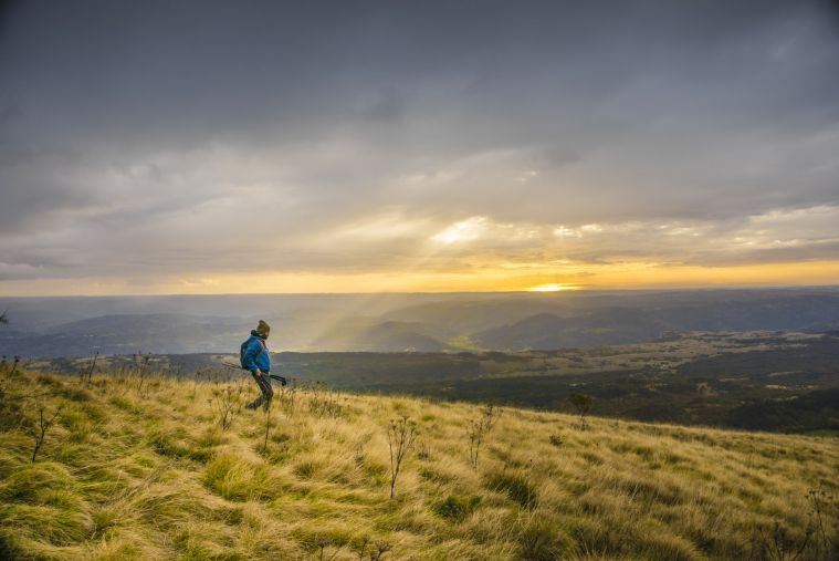 Украинские беженцы в Закарпатье пожаловались, что им приходится защищать русский язык в драке