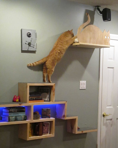 Настенная мебель  для кошек своими руками для дома и дачи,мастер-класс