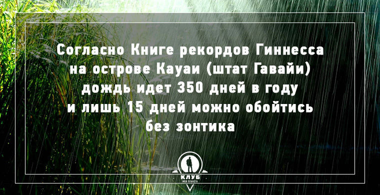 8 интересных фактов о дожде дождь, факты