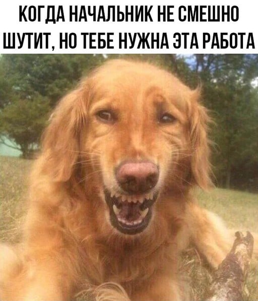 Картинки и фотки для настроения 