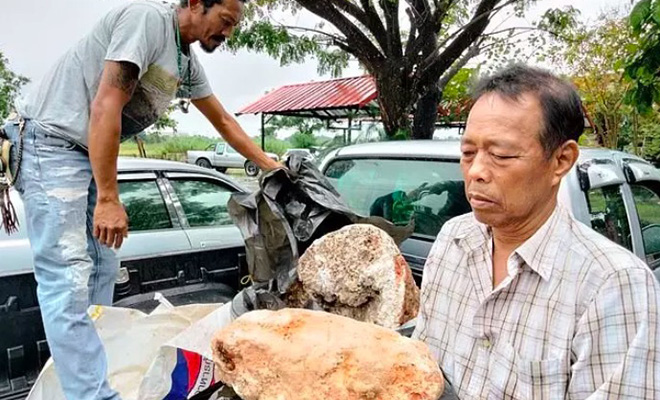 Тайский рыбак нашел сильно пахнущий камень, а потом продал его 2 миллиона долларов