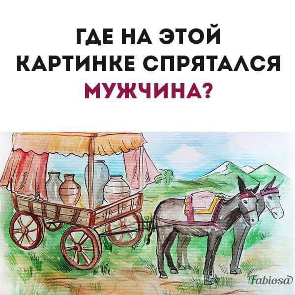     .   ...