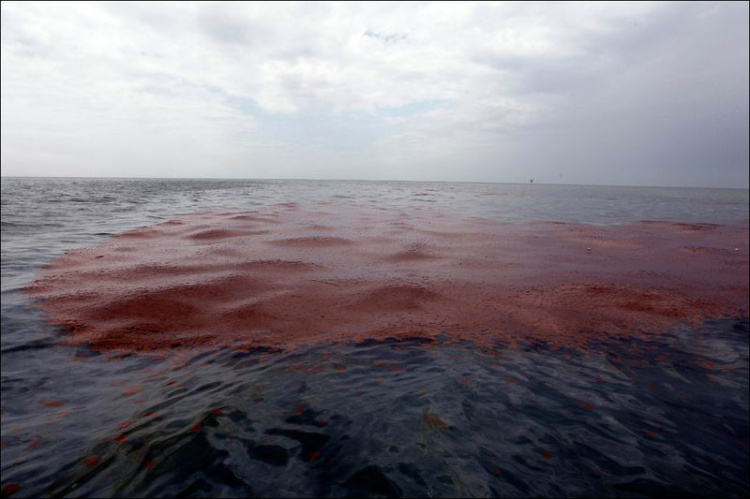 КТК намерен оспорить штраф за загрязнение экологии Черного моря: «сумма завышена»