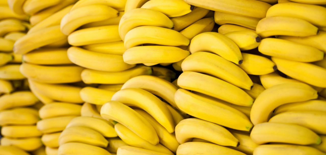 Весь процесс выращивания бананов на видео