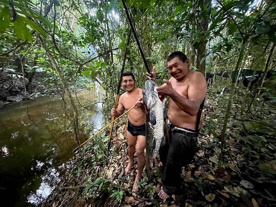 Прогулки по Амазонии диких, чтобы, через, рассказала, больше, прошли, моменты, несколько, надеюсь, являются, дикой, Экспедиция, научных, инфекций», одобренная, кожных, серьезных, Обществом, подхватили, команда