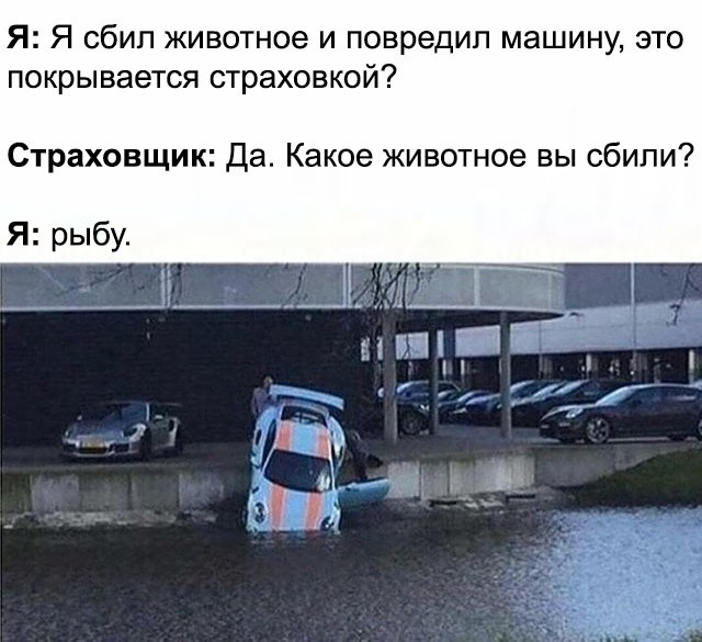 Подборка смешных картинок картинки