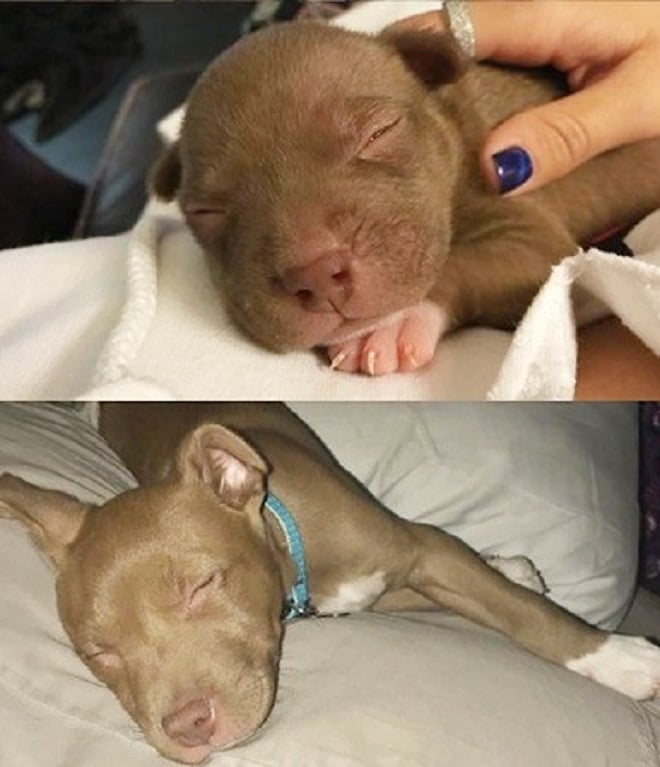 Фото до и после