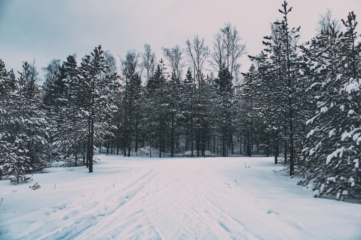 Фотоподборка: Зима чудес