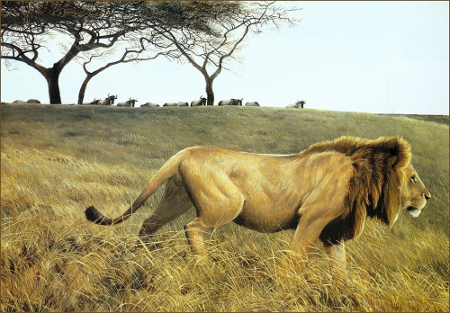 Художник Роберт Бейтман | Robert Bateman (363 работ)