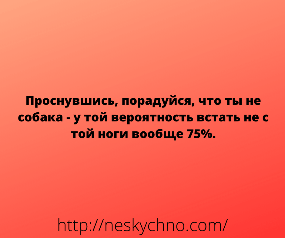 Подборка уморительных анекдотов 