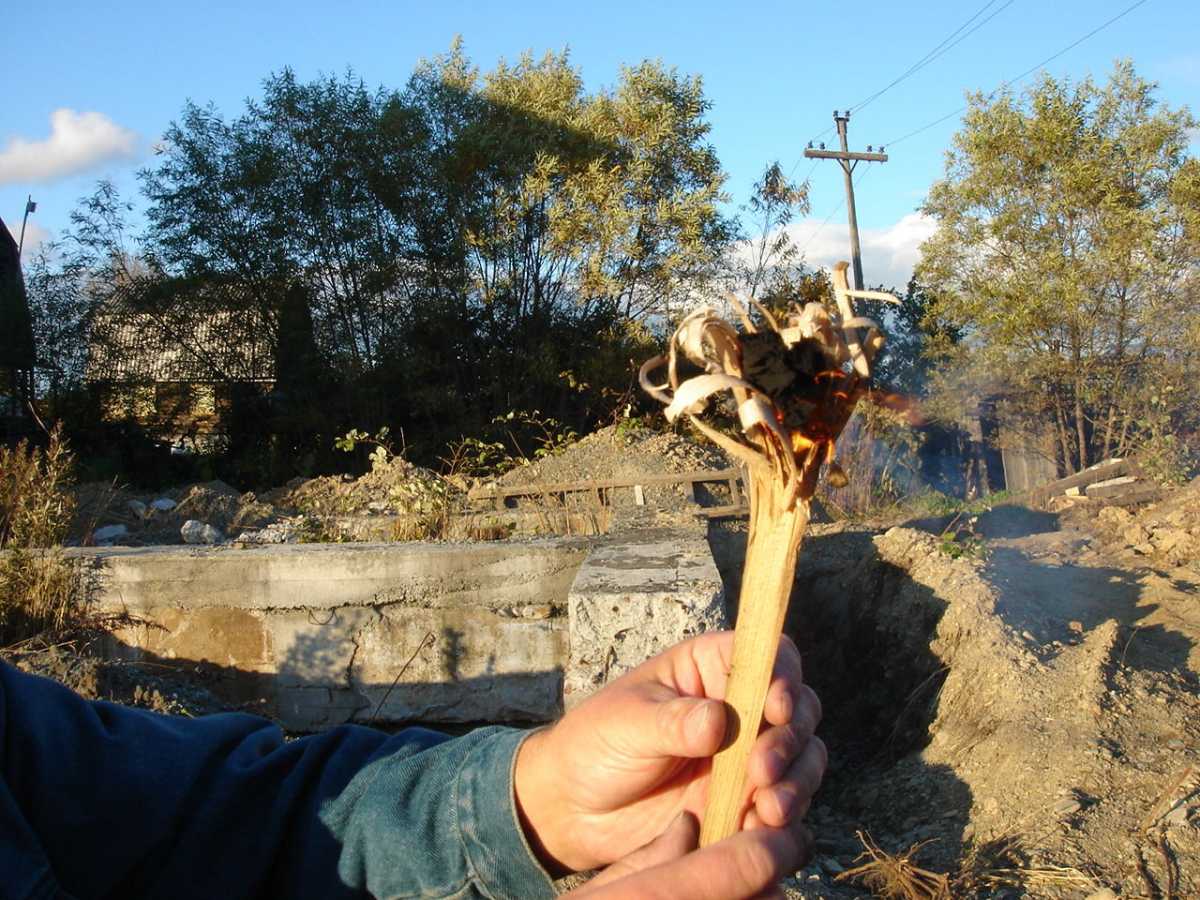  Современная лучина для разжигания костра. Очень вероятно, что наши предки использовали такую же. / © popgun.ru 