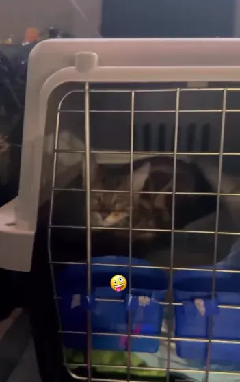 Фото Насти Ивлеевой