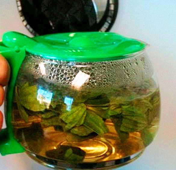 Лечебные чаи от температуры и хронического воспаления в легких и бронхах