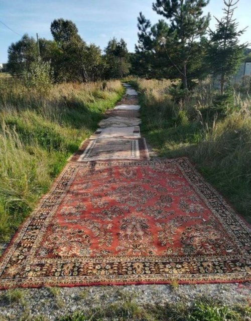 Что здесь происходит?! Что здесь происходит?!