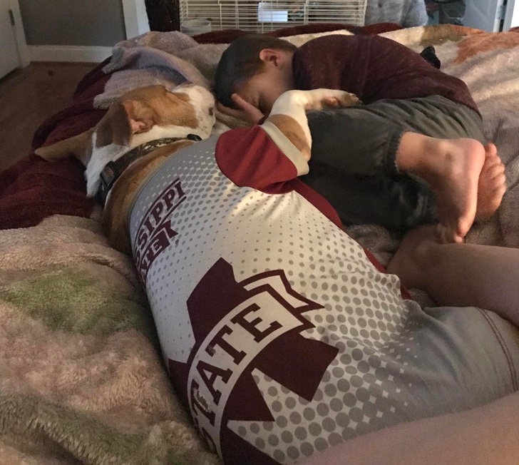 20 домашних зверушек, как источник любви и ласки для всего и всея 20 домашних зверушек, как источник любви и ласки для всего и всея не всё так грустно