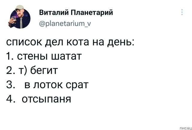 25 прикольчиков декабря из социальных сетей позитив,смешные картинки,юмор