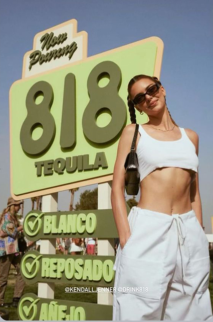 Ирина Шейк, Хейли Бибер, Кендалл Дженнер, Алессандра Амбросио гостят на фестивале Coachella Новости