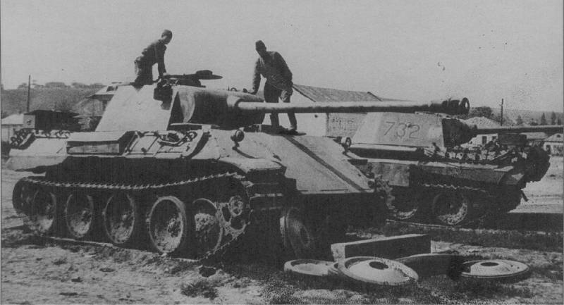 75     