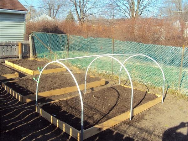 Ограждения для грядок: зачем, из чего и как Ограждения для грядок: зачем, из чего и как