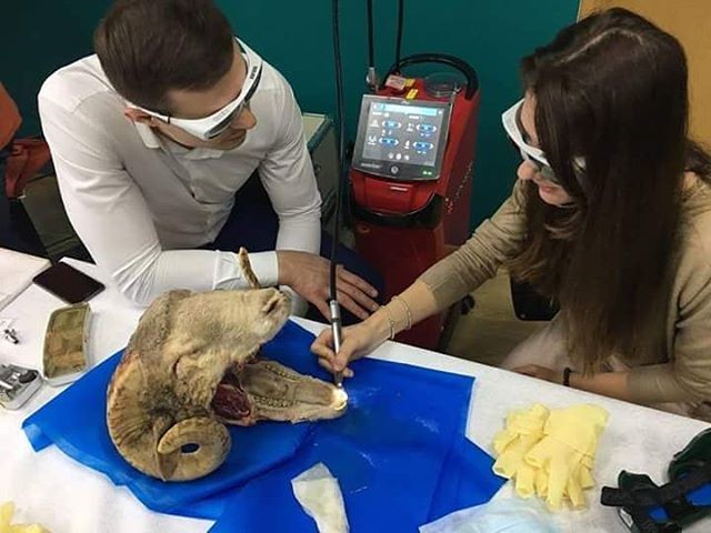Будни студента-стоматолога: что они делают прежде, чем взяться за нас Будни студента-стоматолога: что они делают прежде, чем взяться за нас
