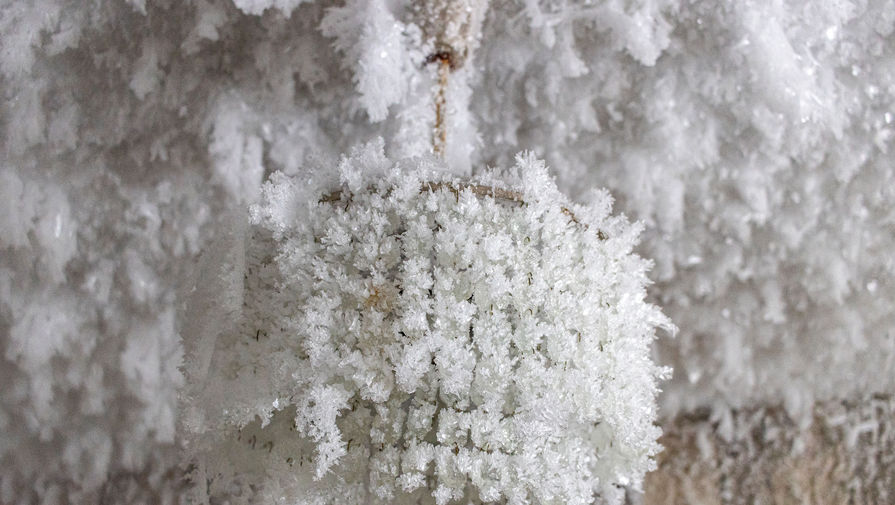 Лапландия страна. Снег живет. Снег живет. Зима в волгограде февраль. Снежная лапландия.