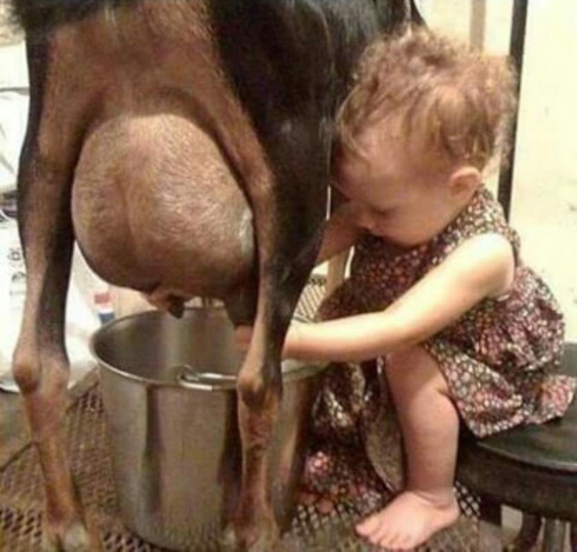 В гостях у бабушки: 20 самых смешных фото про малышей в деревне В гостях у бабушки: 20 самых смешных фото про малышей в деревне воспитание,Дети,Жизнь,Истории,проблемы