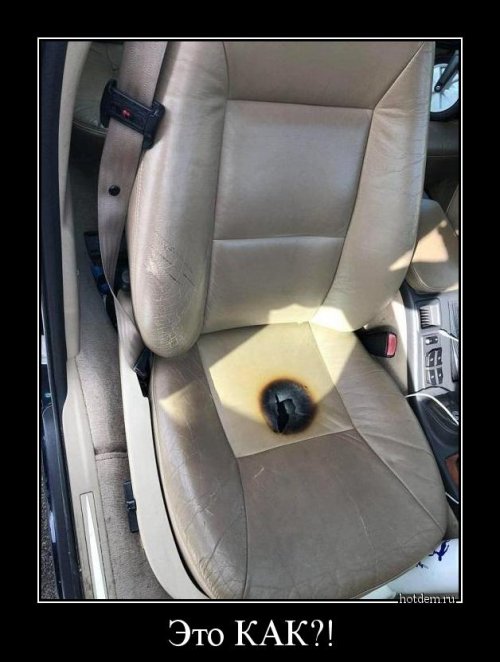 Прикольных демотиваторов пост Прикольных демотиваторов пост