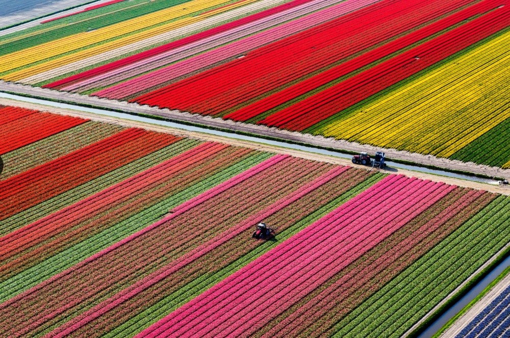 Фотография: 20 мест, в которых миром правит цвет №18 - BigPicture.ru