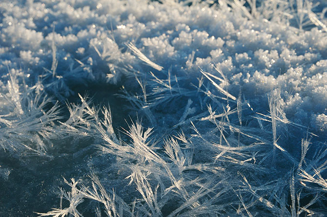 Полярный круг – царство снега и льда Полярный круг – царство снега и льда