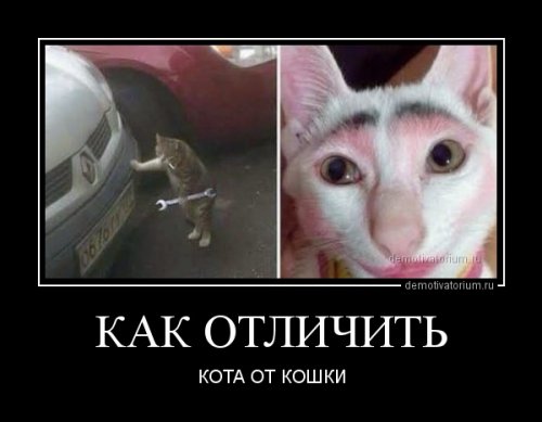 Демотиваторы для настроения Демотиваторы для настроения