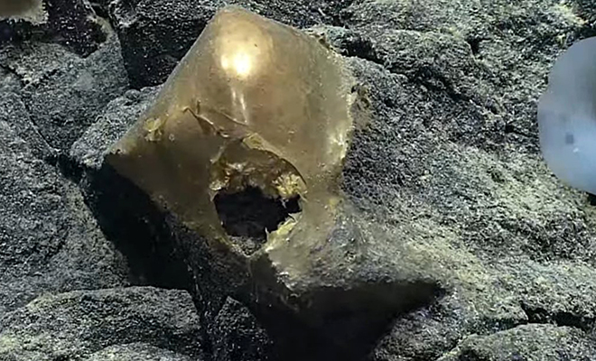 На склоне подводного вулкана у берегов Аляски обнаружили артефакт, похожий на золотое яйцо или сферу На склоне подводного вулкана у берегов Аляски обнаружили артефакт, похожий на золотое яйцо или сферу Культура