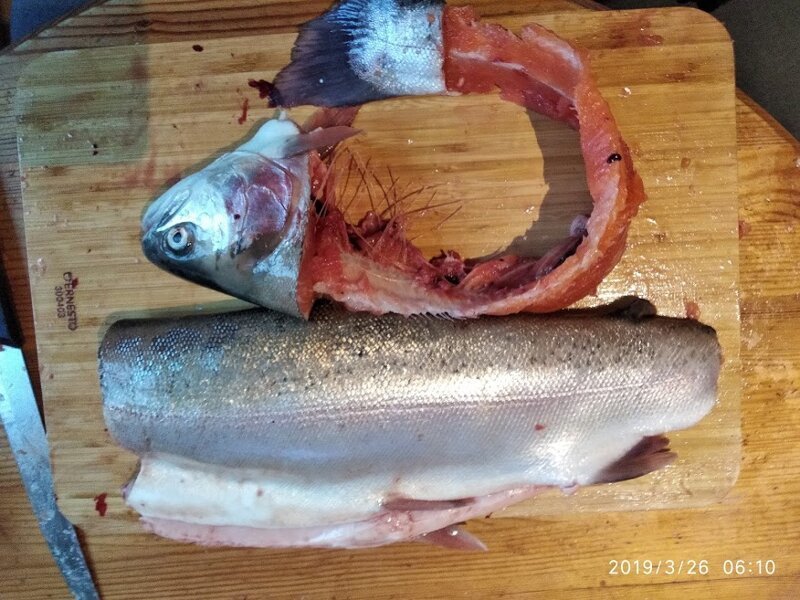 Как засолить форель: простой домашний рецепт рецепты