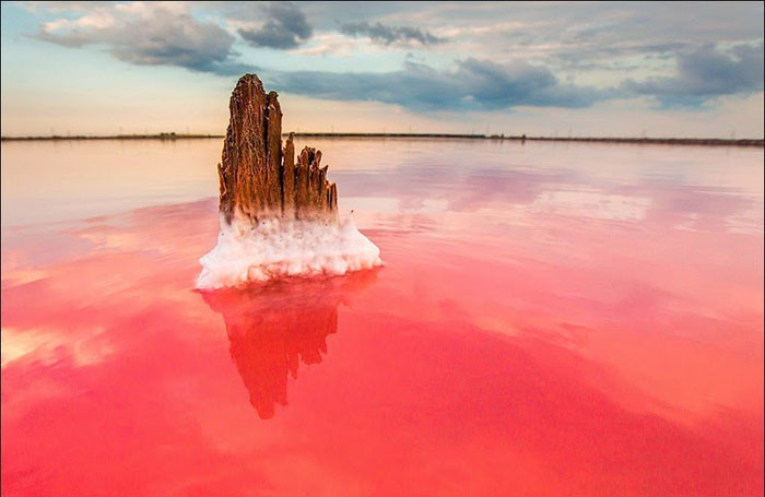 Великолепие крымского «гнилого моря» 25 фотографий озера Сиваш интересное