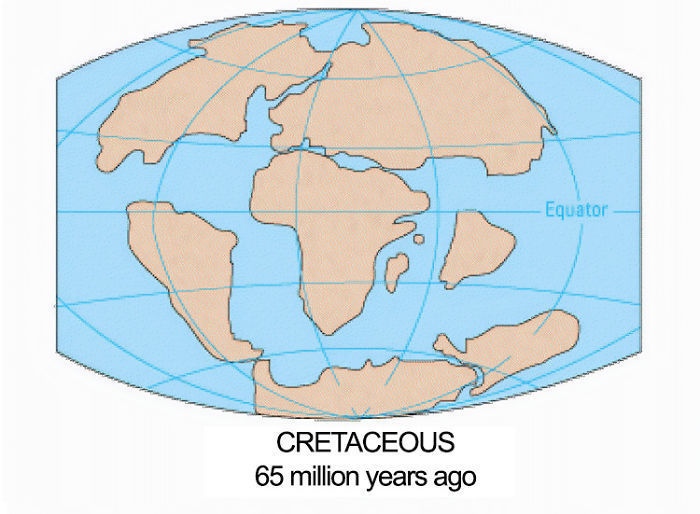 Как выглядела наша планета 300 миллионов лет назад континентов, миллионов, теорию, карта, времени, полноценную, знания, предположения, оформил, столетия Первым, конце, Ортелием, Авраамом, озвучена, впервые, когдалибо, друга, Альфред, континенты, назадТеория
