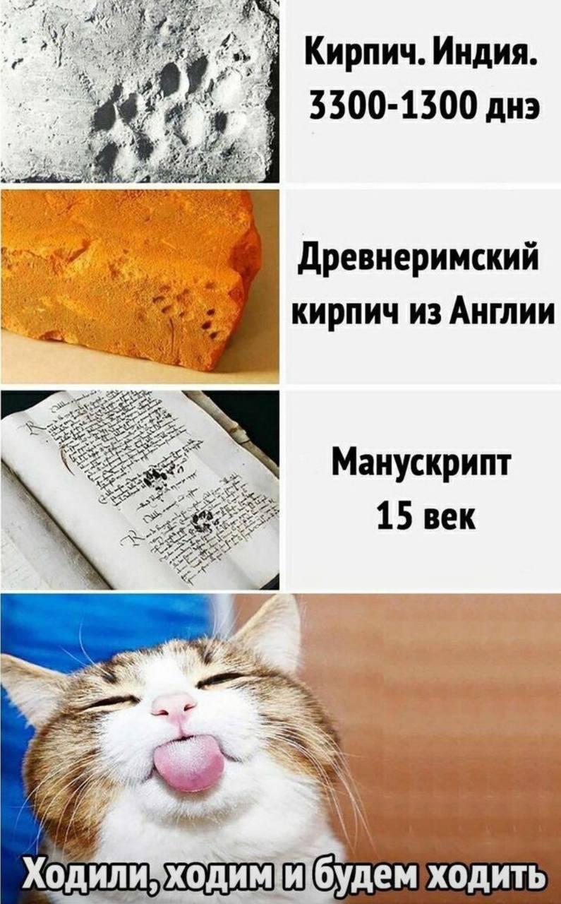 Смешные картинки с надписями и инфляция Смешные картинки с надписями и инфляция