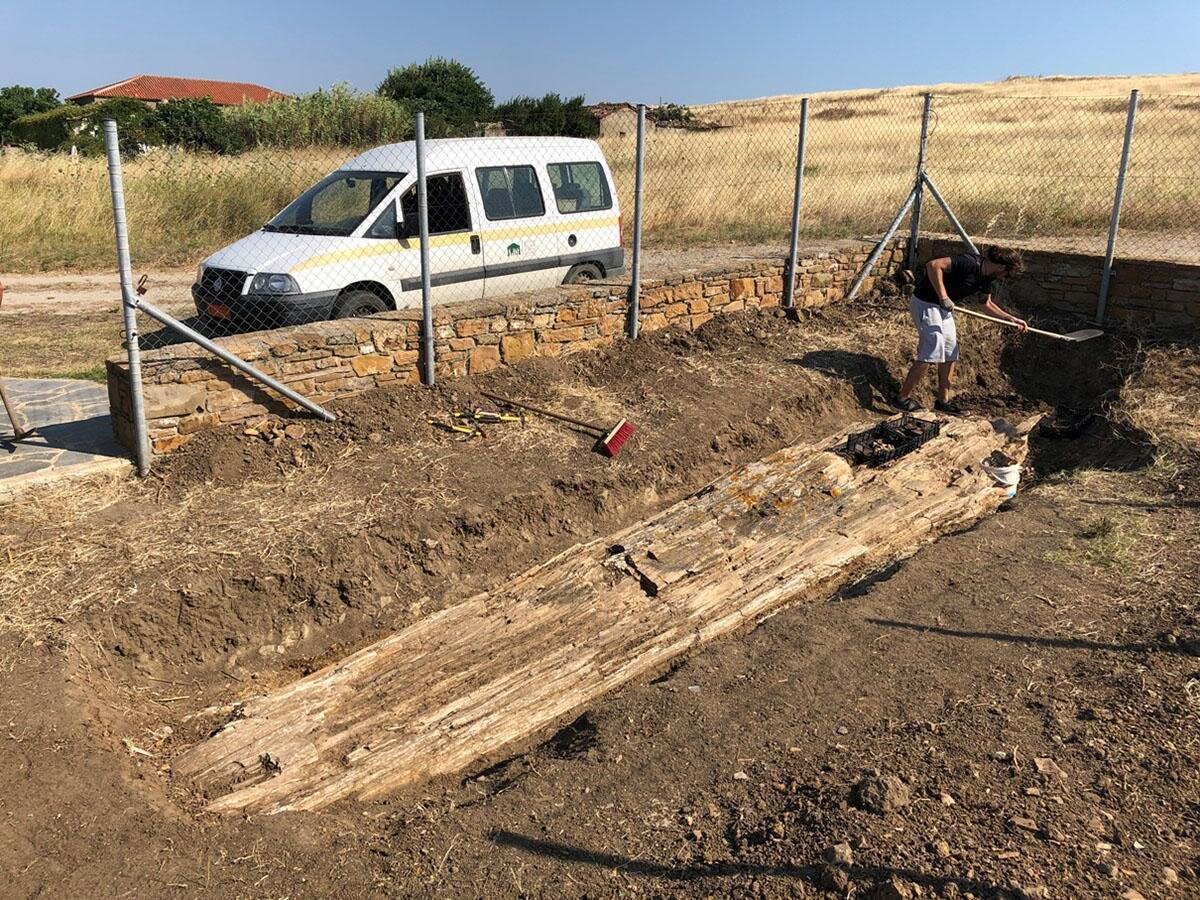 Источник: https://newspotok.ru/2020/07/11/v-grecii-nashli-okameneloe-derevo-vozrastom-20-millionov-let.html