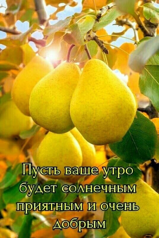 Подборка юмора, чтобы окунуться в мир веселья и позитива