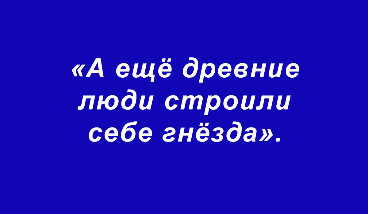 Перлы, перлы, перлы, перлы (подборка 10)