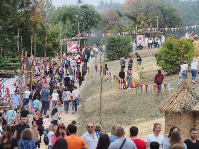 Когда за страну обидно. Понимание кризиса власти в России россия