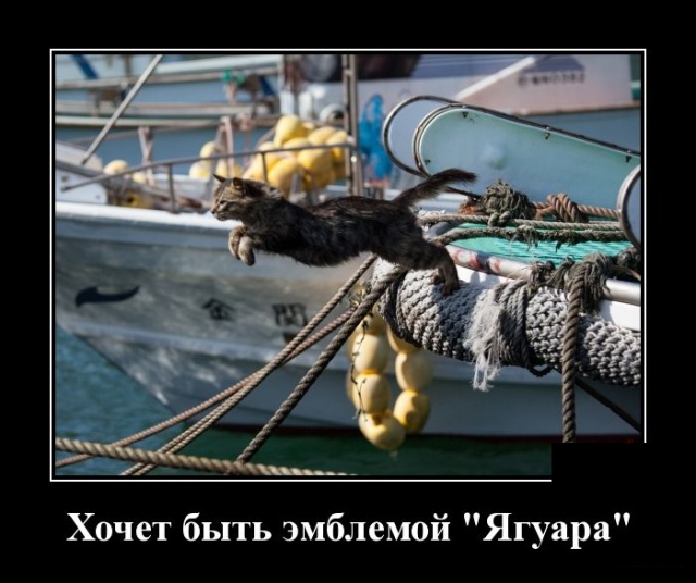 Самые новые демотиваторы Самые новые демотиваторы демотиваторы