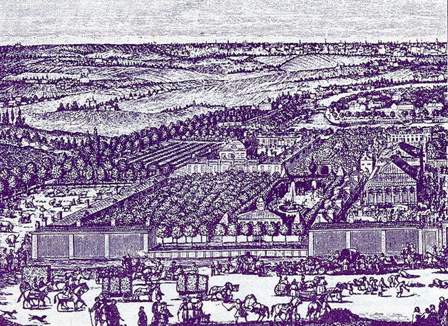 Трагедия блистательной Анны Монс: Кукуйская царица, возлюбленная Петра I и любовница Лефорта. Анна Монс,жизнь,история,люди,общество,Россия