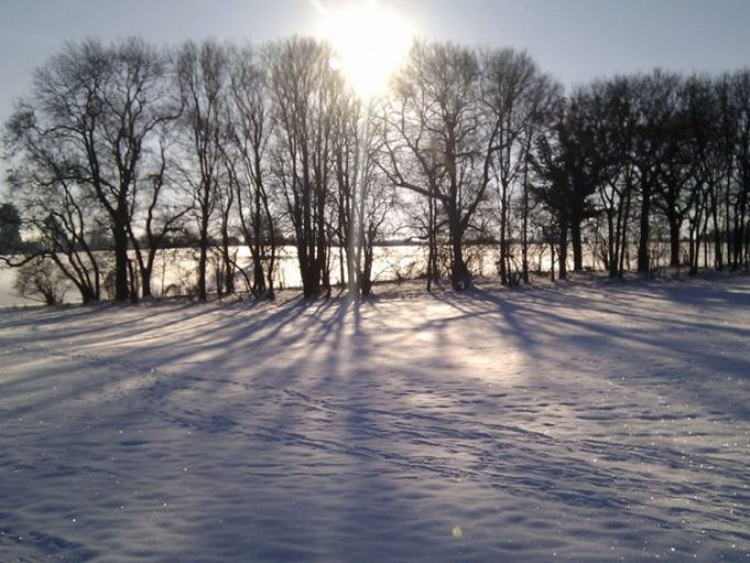 Самые жуткие леса планеты