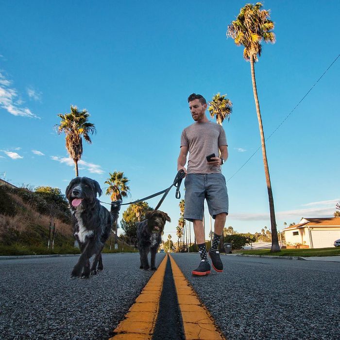 Travel-With-Two-Homeless-Dogs-Jordan-Kahana