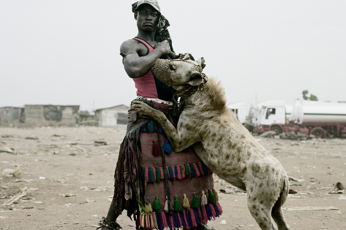 Собаки в африке