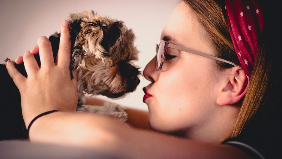 Вредно ли целоваться со своей собакой?